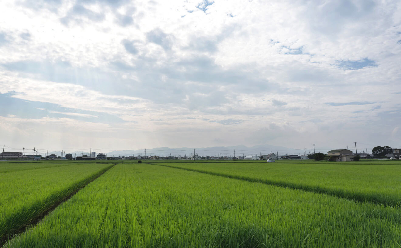 田園風景